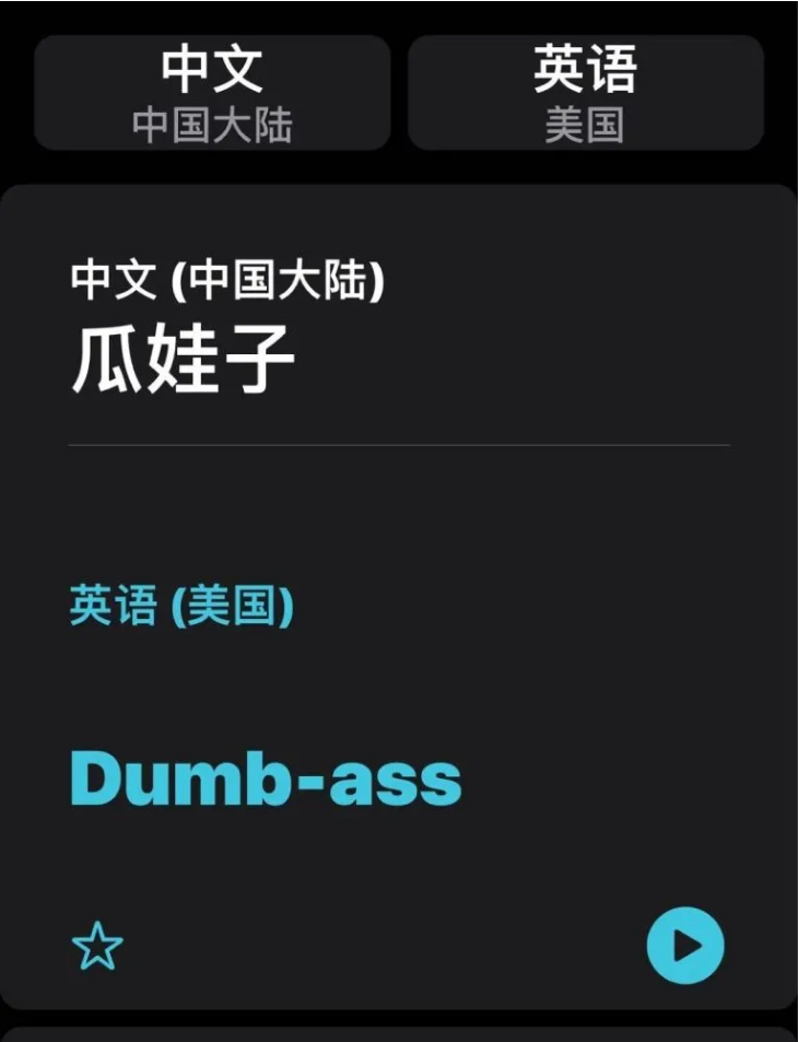 绥中苹果手机维修分享iOS14的“翻译太懂了”怎么用 